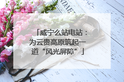 威宁么站电站：为云贵高原筑起一道“风光屏障”