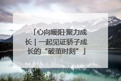 心向暖阳·聚力成长｜一起见证骄子成长的“破茧时刻”