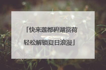 快来莲都碧湖赏荷 轻松解锁夏日浪漫