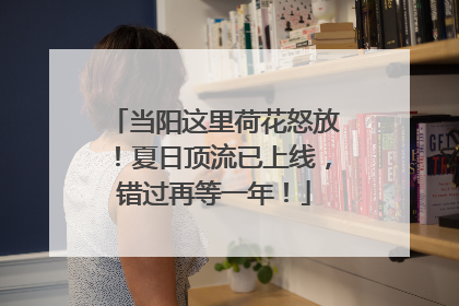 当阳这里荷花怒放！夏日顶流已上线，错过再等一年！