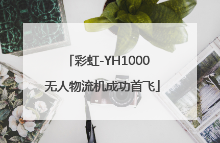 彩虹-YH1000无人物流机成功首飞