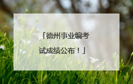 德州事业编考试成绩公布！