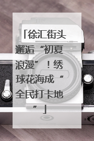 徐汇街头邂逅“初夏浪漫”！绣球花海成“全民打卡地”