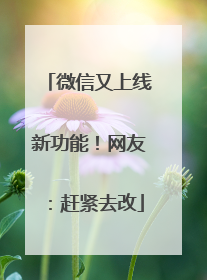 微信又上线新功能！网友：赶紧去改