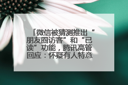 微信被猜测推出“朋友圈访客”和“已读”功能，腾讯高管回应：怀疑有人特意反复翻炒流量