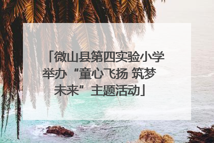 微山县第四实验小学举办“童心飞扬 筑梦未来”主题活动