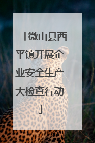 微山县西平镇开展企业安全生产大检查行动