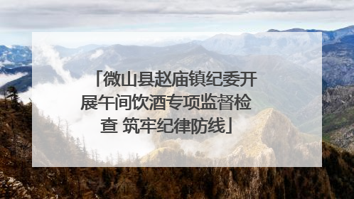 微山县赵庙镇纪委开展午间饮酒专项监督检查 筑牢纪律防线