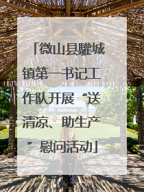 微山县驩城镇第一书记工作队开展“送清凉、助生产”慰问活动