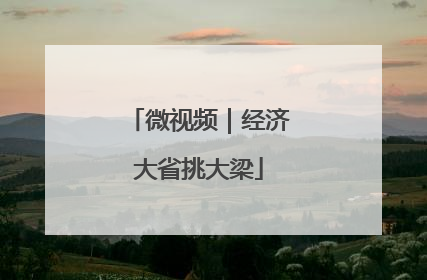 微视频｜经济大省挑大梁