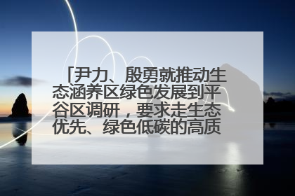尹力、殷勇就推动生态涵养区绿色发展到平谷区调研，要求走生态优先、绿色低碳的高质量发展之路