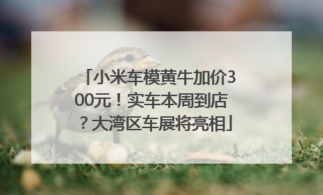 小米车模黄牛加价300元！实车本周到店？大湾区车展将亮相
