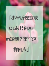 小米辟谣玄戒O1芯片向Arm定制？雷军这样回应