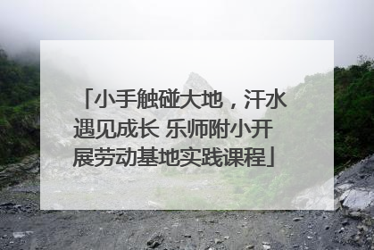 小手触碰大地，汗水遇见成长 乐师附小开展劳动基地实践课程