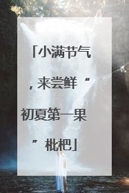 小满节气，来尝鲜“初夏第一果”枇杷