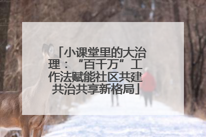小课堂里的大治理：“百千万”工作法赋能社区共建共治共享新格局