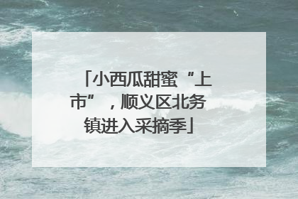小西瓜甜蜜“上市”，顺义区北务镇进入采摘季