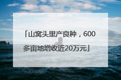 山窝头里产良种，600多亩地增收近20万元