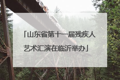 山东省第十一届残疾人艺术汇演在临沂举办