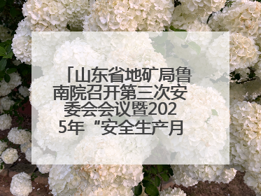 山东省地矿局鲁南院召开第三次安委会会议暨2025年“安全生产月”活动启动仪式
