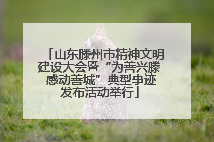 山东滕州市精神文明建设大会暨“为善兴滕 感动善城”典型事迹发布活动举行