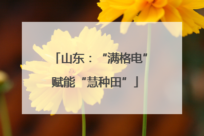 山东：“满格电”赋能“慧种田”