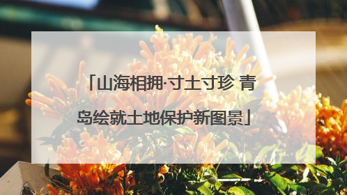 山海相拥·寸土寸珍 青岛绘就土地保护新图景