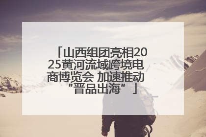 山西组团亮相2025黄河流域跨境电商博览会 加速推动“晋品出海”