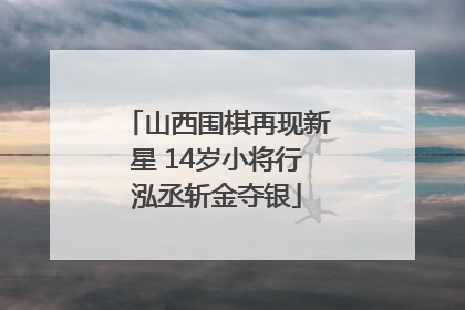 山西围棋再现新星 14岁小将行泓丞斩金夺银