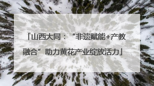 山西大同：“非遗赋能+产教融合”助力黄花产业绽放活力