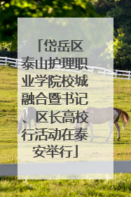 岱岳区 泰山护理职业学院校城融合暨书记、区长高校行活动在泰安举行