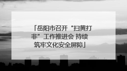 岳阳市召开“扫黄打非”工作推进会 持续筑牢文化安全屏障