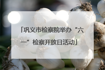 巩义市检察院举办“六一”检察开放日活动