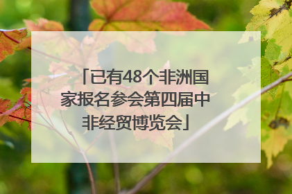 已有48个非洲国家报名参会第四届中非经贸博览会