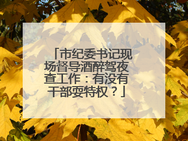 市纪委书记现场督导酒醉驾夜查工作：有没有干部耍特权？
