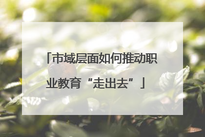 市域层面如何推动职业教育“走出去”