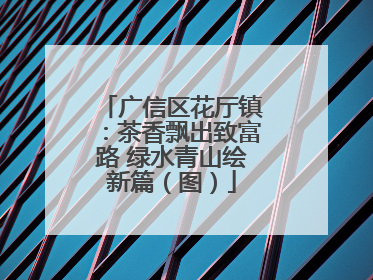 广信区花厅镇：茶香飘出致富路 绿水青山绘新篇（图）