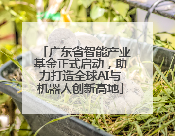广东省智能产业基金正式启动，助力打造全球AI与机器人创新高地