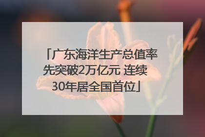 广东海洋生产总值率先突破2万亿元 连续30年居全国首位