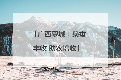 广西罗城：桑蚕丰收 助农增收