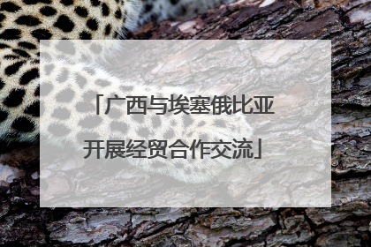 广西与埃塞俄比亚开展经贸合作交流