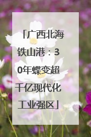 广西北海铁山港：30年蝶变超千亿现代化工业强区