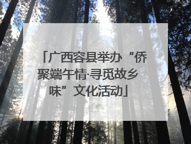 广西容县举办“侨聚端午情·寻觅故乡味”文化活动