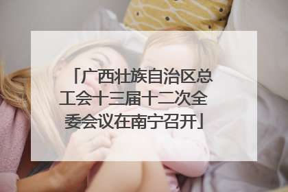 广西壮族自治区总工会十三届十二次全委会议在南宁召开