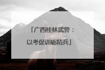 广西桂林武警：以考促训砺精兵