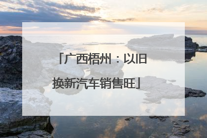 广西梧州：以旧换新汽车销售旺