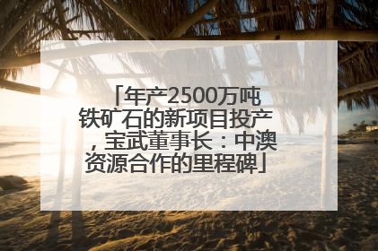 年产2500万吨铁矿石的新项目投产，宝武董事长：中澳资源合作的里程碑