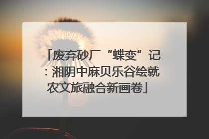 废弃砂厂“蝶变”记：湘阴中麻贝乐谷绘就农文旅融合新画卷
