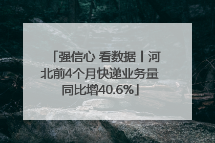 强信心 看数据丨河北前4个月快递业务量同比增40.6%