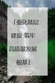 强化基层建设 筑牢高质量发展根基